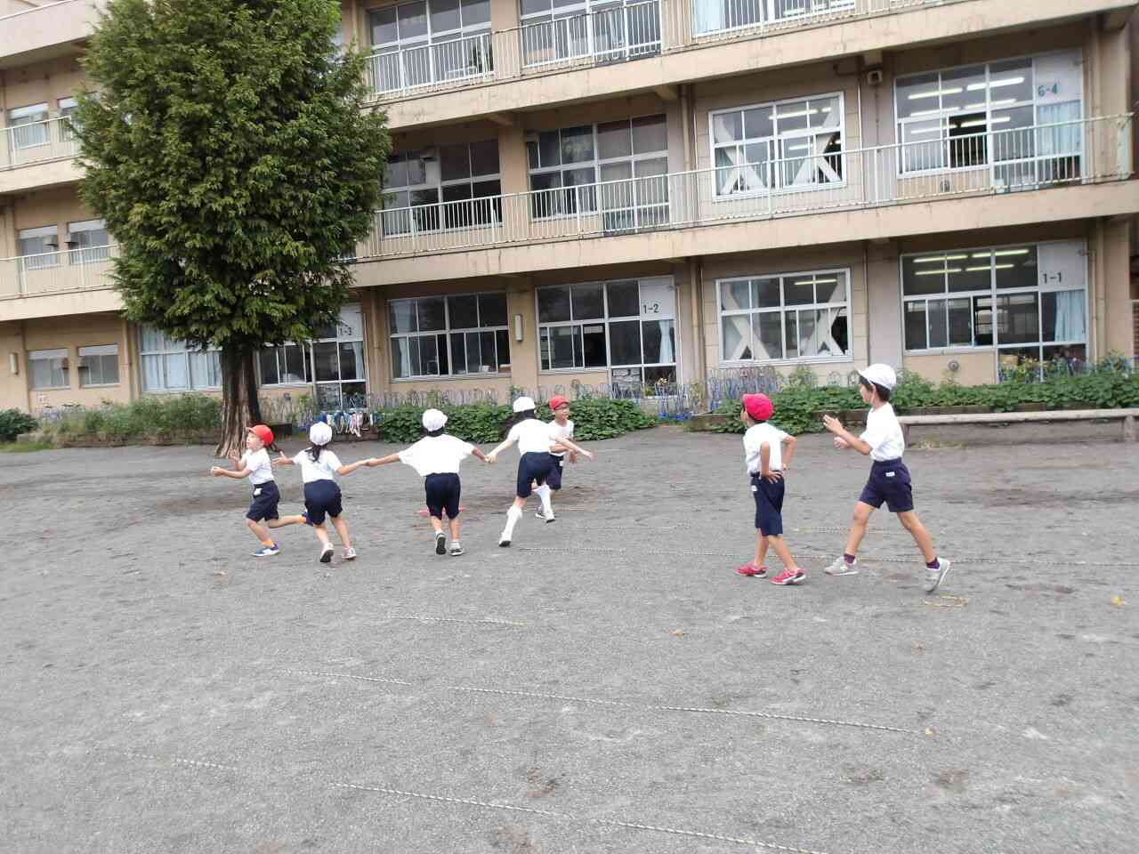 Photokako-mosaic-d4jVGy6v6OybNzt6