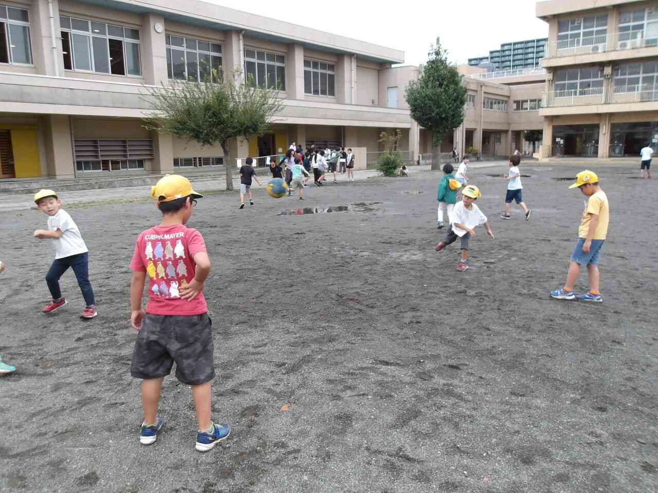 Photokako-mosaic-eLODyHeLgsz1Vrxg