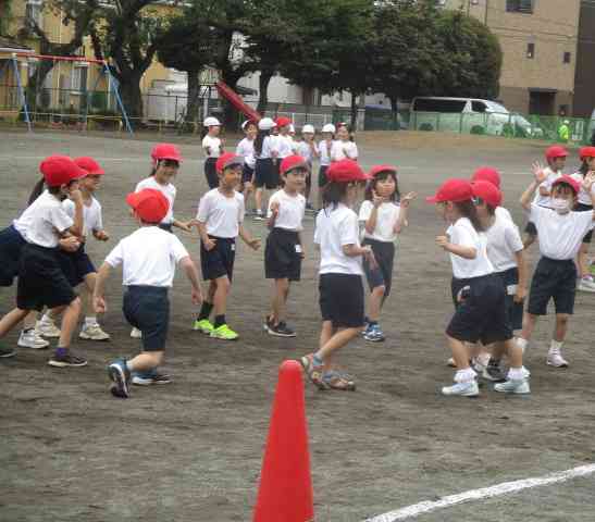 ブログ　だるまさん