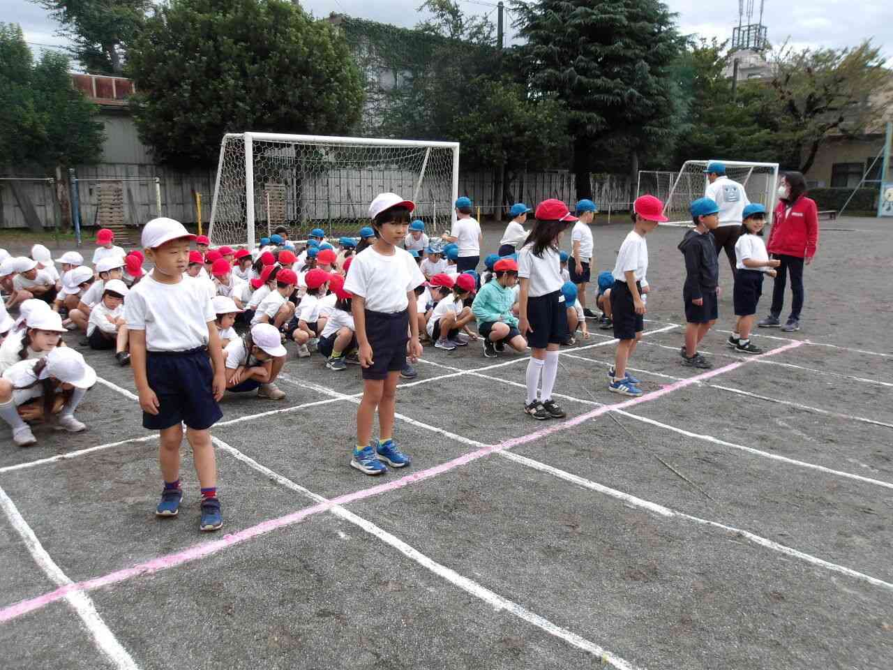 Photokako-mosaic-WmF0FaSOxCtiPaFr