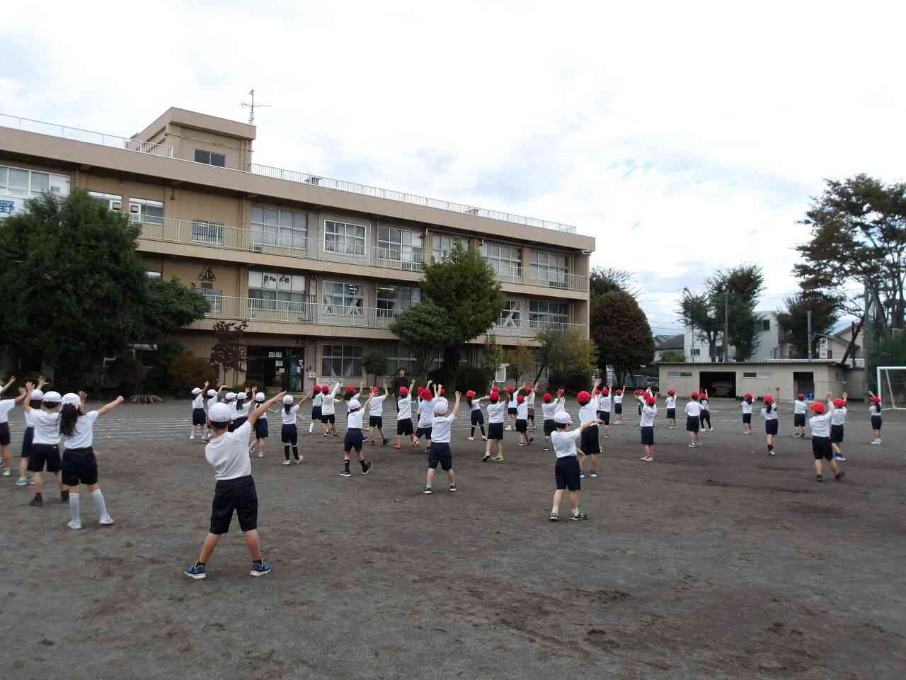 Photokako-mosaic-jxJzzhQuNnghO8LB