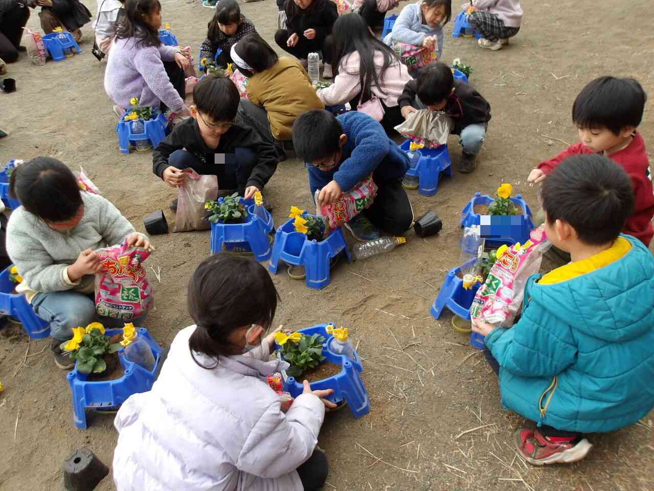 Photokako-mosaic-vnrTsGEPCvVoWCB5