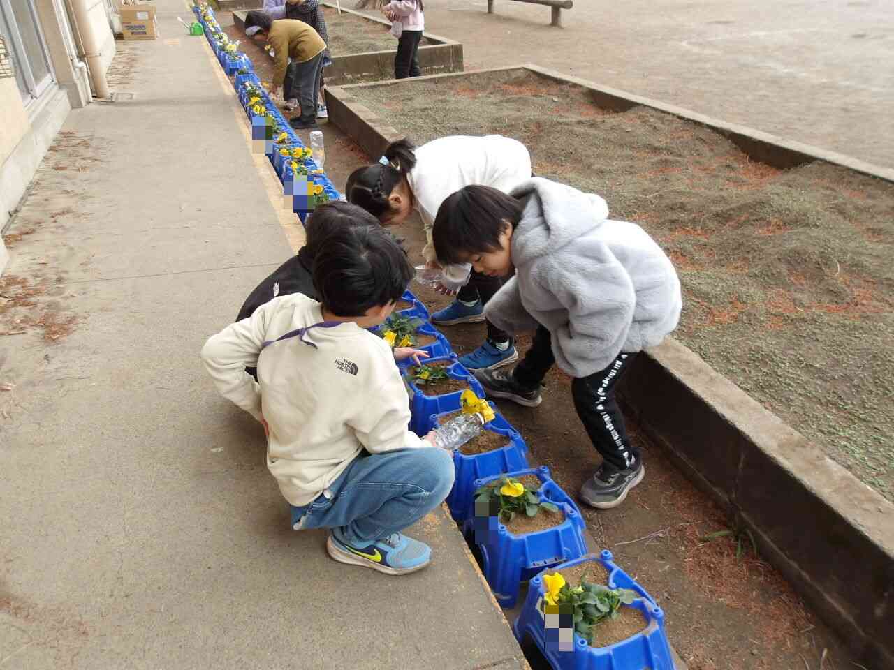 Photokako-mosaic-teWvOtMp4V5zkJSv