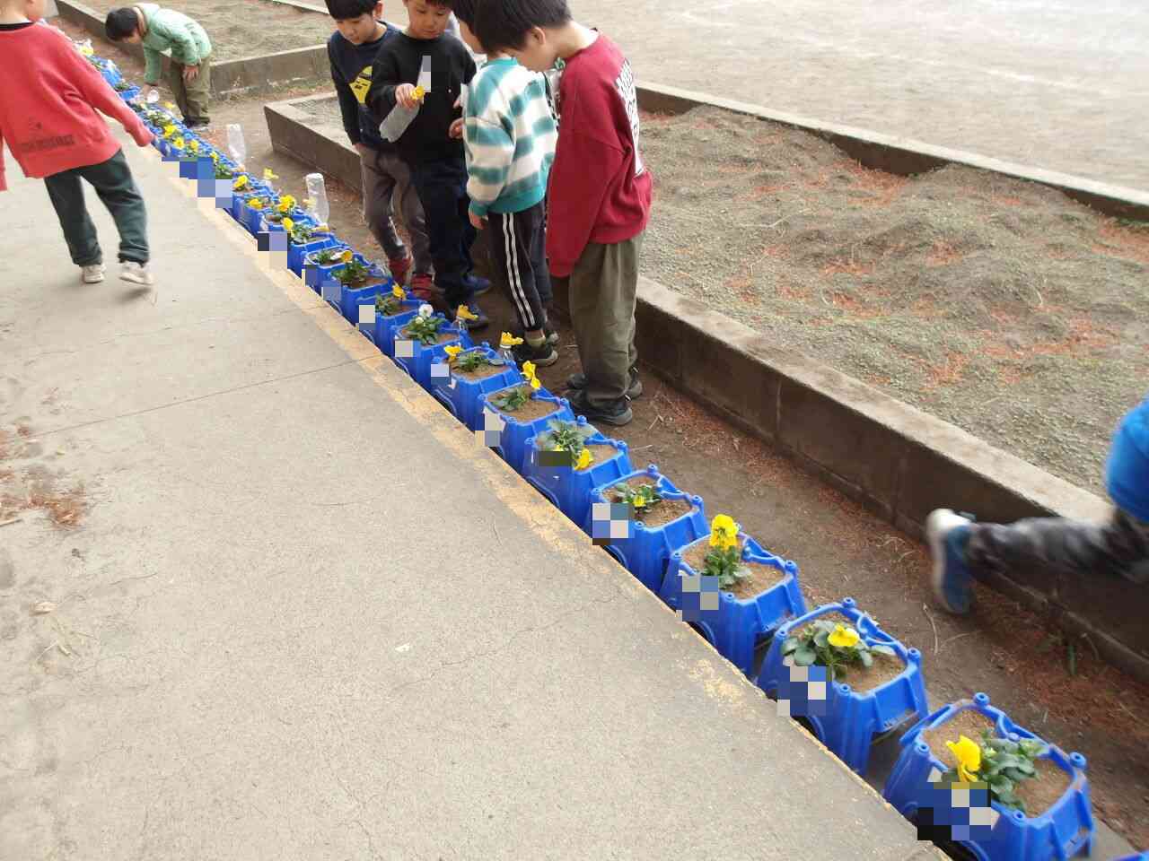 Photokako-mosaic-vp8b5WSETmJWPgkY