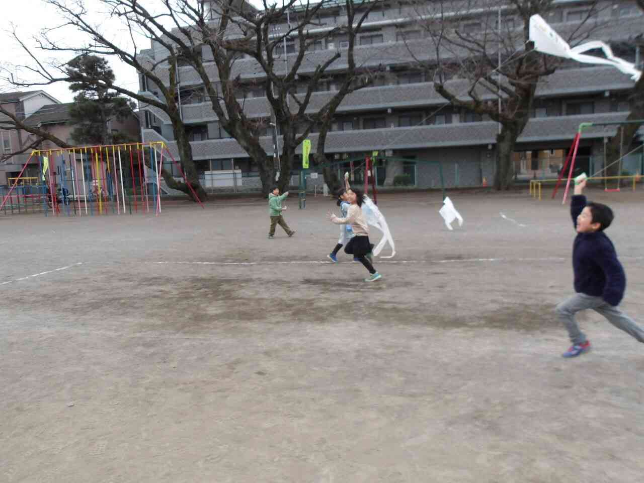 Photokako-mosaic-HC1roLZe9fPqsB9m